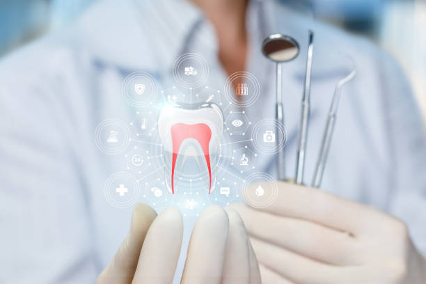 Best Preventive Dentistry  in Ferndale, WA