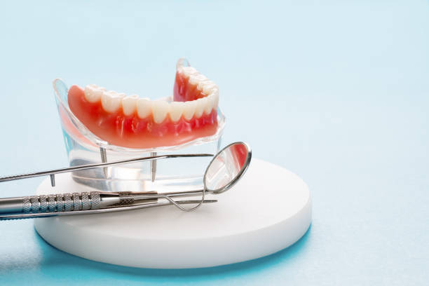 Professional Holistic Dental Care Services in Ferndale, WA